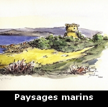 Paysages marins