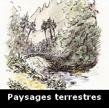Paysages terrestrs