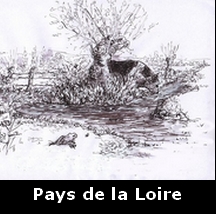 PaysdLoire